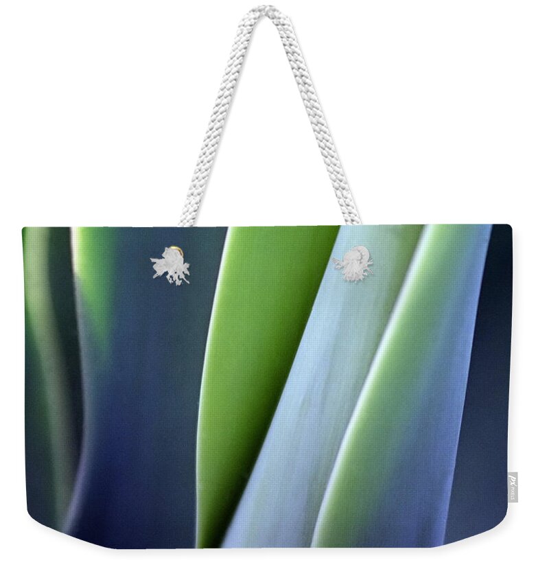 Sparse Weekender Tote Bag featuring the photograph Green Smooth Leaves by Sergeo syd