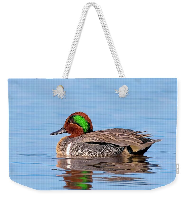 Green-winged Teal Weekender Tote Bag featuring the photograph Green-winged Teal on the Pond by Kathleen Bishop