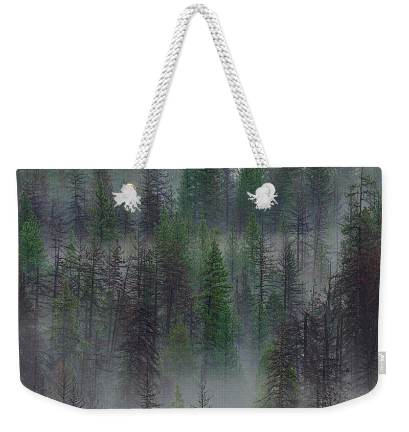 Forest Weekender Tote Bag featuring the photograph Green Yosemite by Jon Glaser