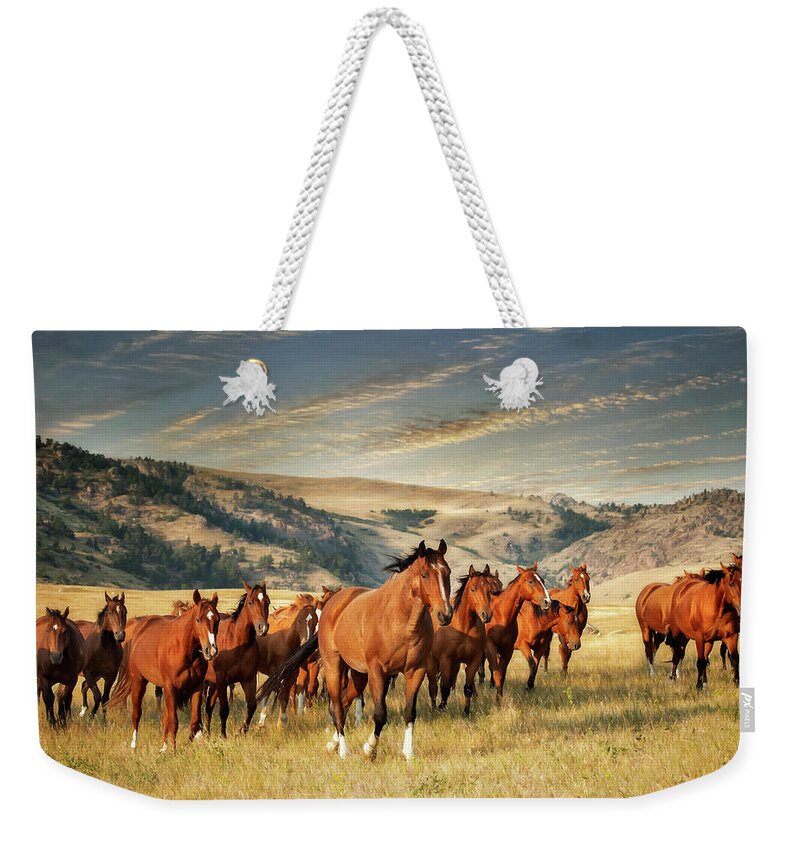 Ranch Weekender Tote Bag featuring the photograph Greener Pastures by Phyllis Burchett