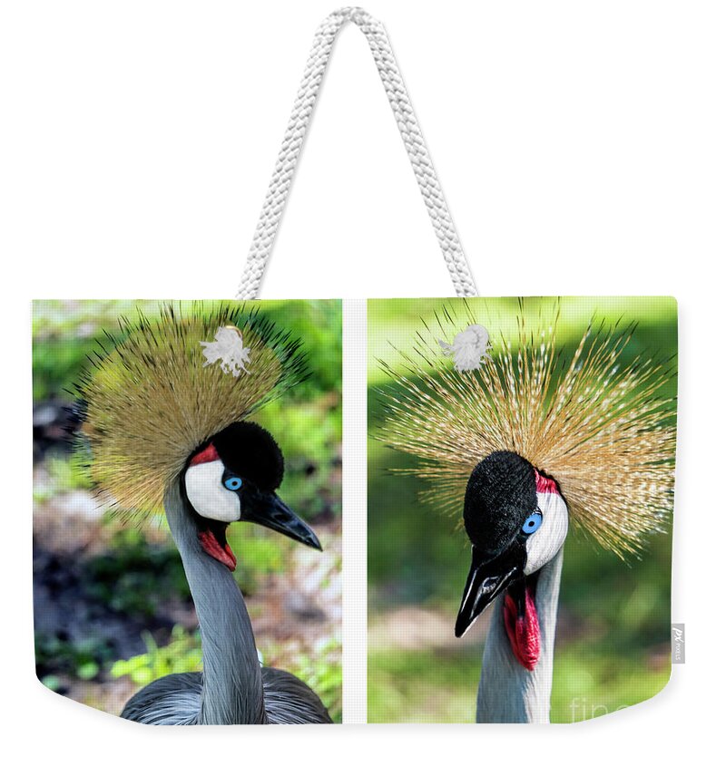 Gulf Weekender Tote Bag featuring the photograph Grey Crowned Crane Gulf Shores Al Collage 3 Diptych by Ricardos Creations