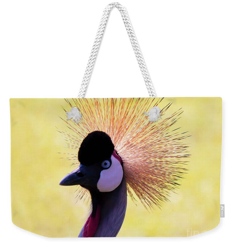 Al Weekender Tote Bag featuring the painting Grey Crowned Crane Gulf Shores BL A101218 by Mas Art Studio
