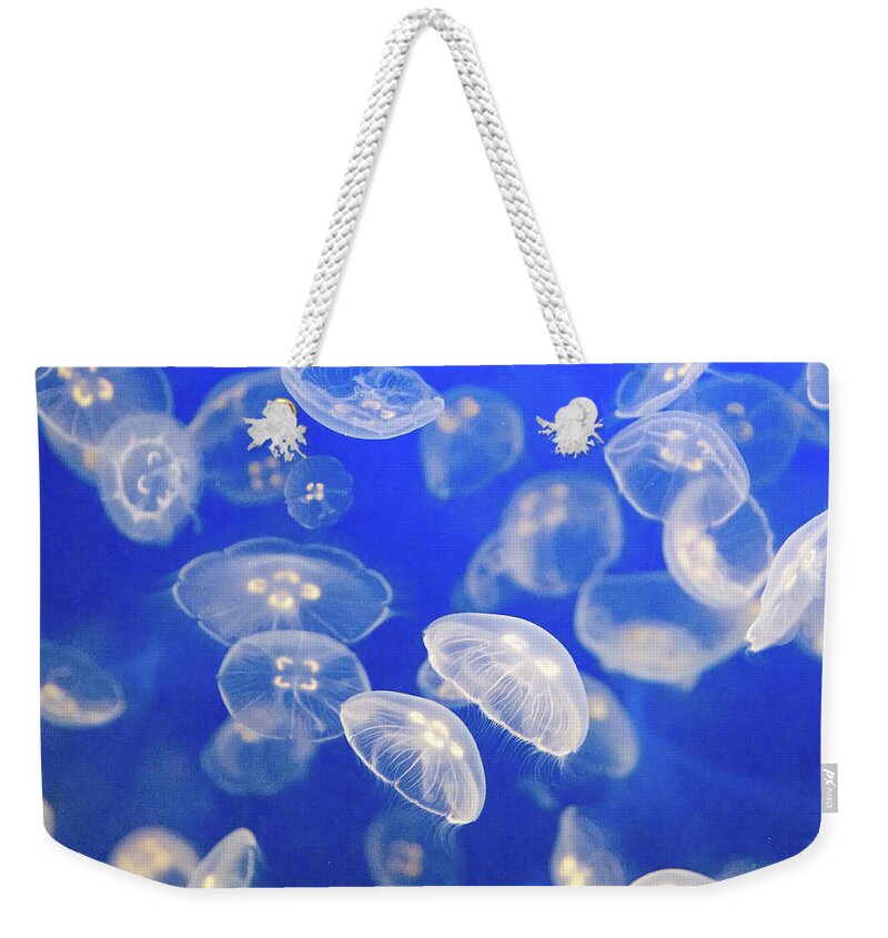 Underwater Weekender Tote Bag featuring the photograph Group Of Small Jelly Fish by Carolyn Hebbard