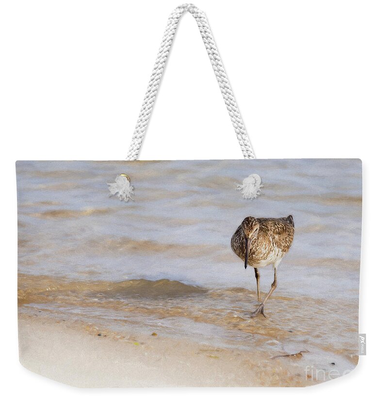 Gull Weekender Tote Bag featuring the photograph Gull Walking at Ocean's Edge - Painterly by Lorraine Cosgrove
