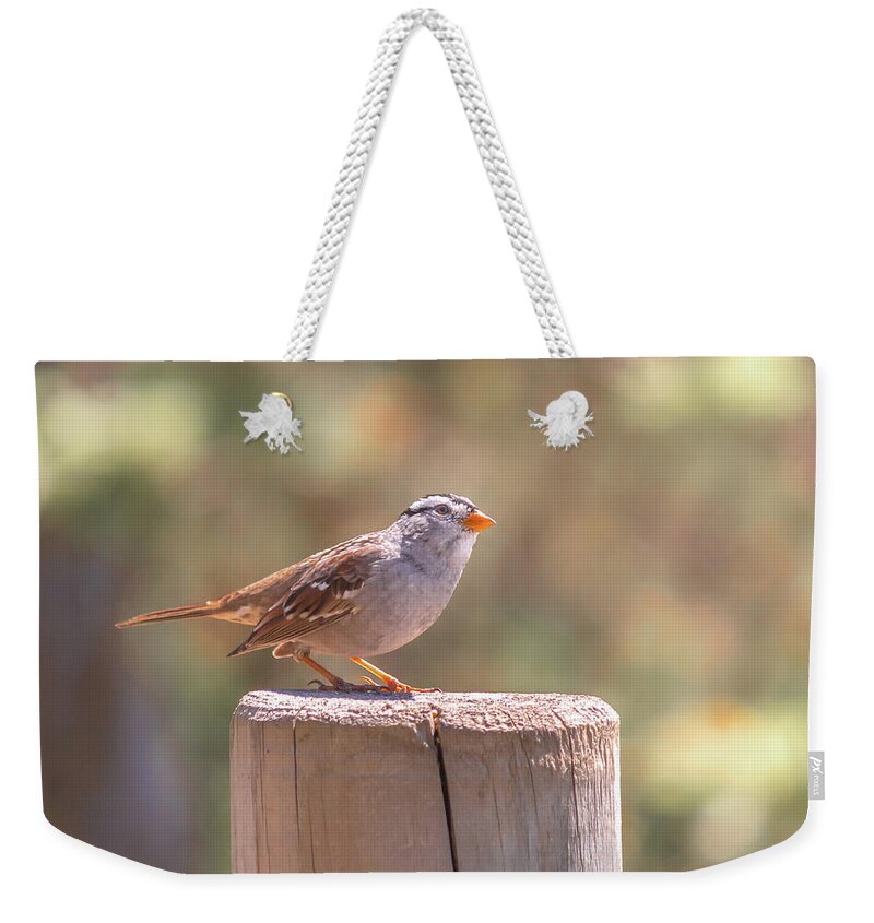 Bird Weekender Tote Bag featuring the photograph Hanging Out by Alison Frank