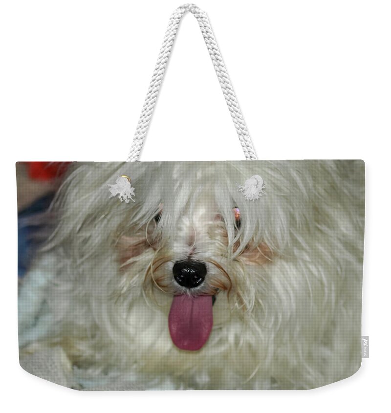 White Weekender Tote Bag featuring the photograph Happy Dog by C Winslow Shafer