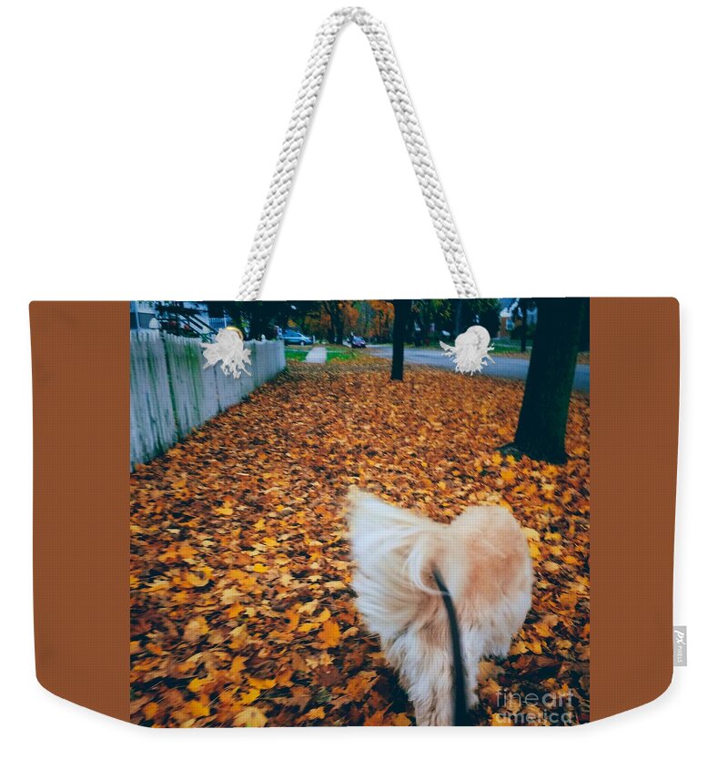 Animal Weekender Tote Bag featuring the photograph Happy Fall Dog Walk by Frank J Casella