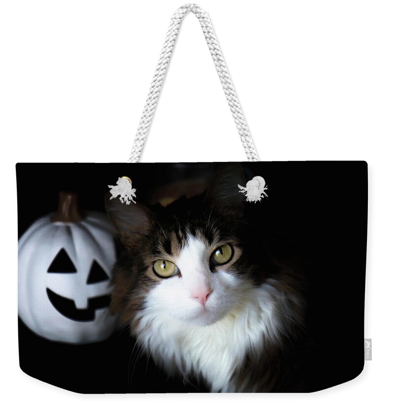 Halloween Weekender Tote Bag featuring the photograph Happy Halloween Cat by Veronica Batterson
