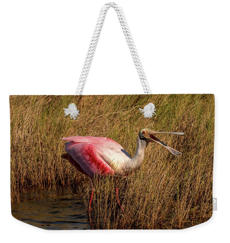 Spoonbill Weekender Tote Bag featuring the photograph Happy Talk by Dorothy Cunningham