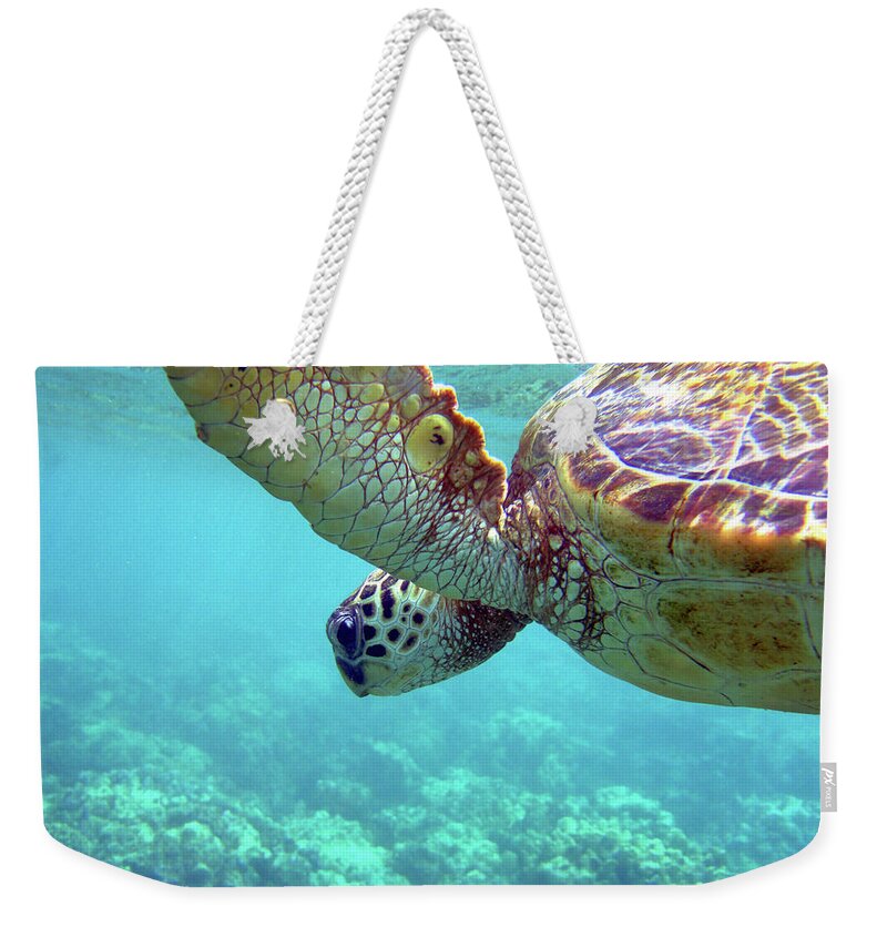 Underwater Weekender Tote Bag featuring the photograph Hawaiian Sea Turtle In Blue Water Above by Back In The Pack Dog Portraits