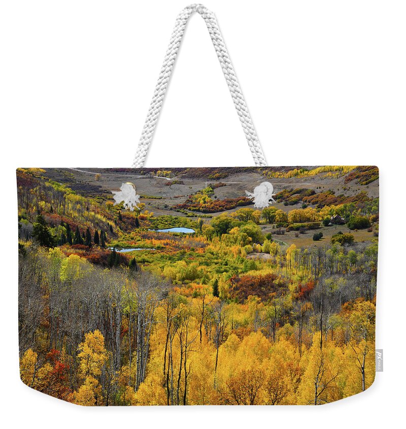 Colorado Weekender Tote Bag featuring the photograph Heading South from McClure Pass by Ray Mathis