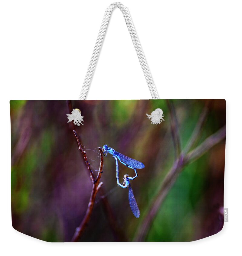Dragonfly Weekender Tote Bag featuring the photograph Heart of Dragonfly by Anthony Jones