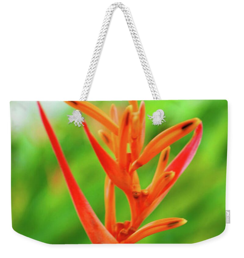 Heliconia Weekender Tote Bag featuring the photograph Heliconia Beauty by Christine Chin-Fook
