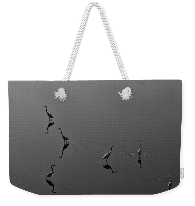 Water Weekender Tote Bag featuring the photograph Herons on Lake 367 in Black and White by Wesley Elsberry