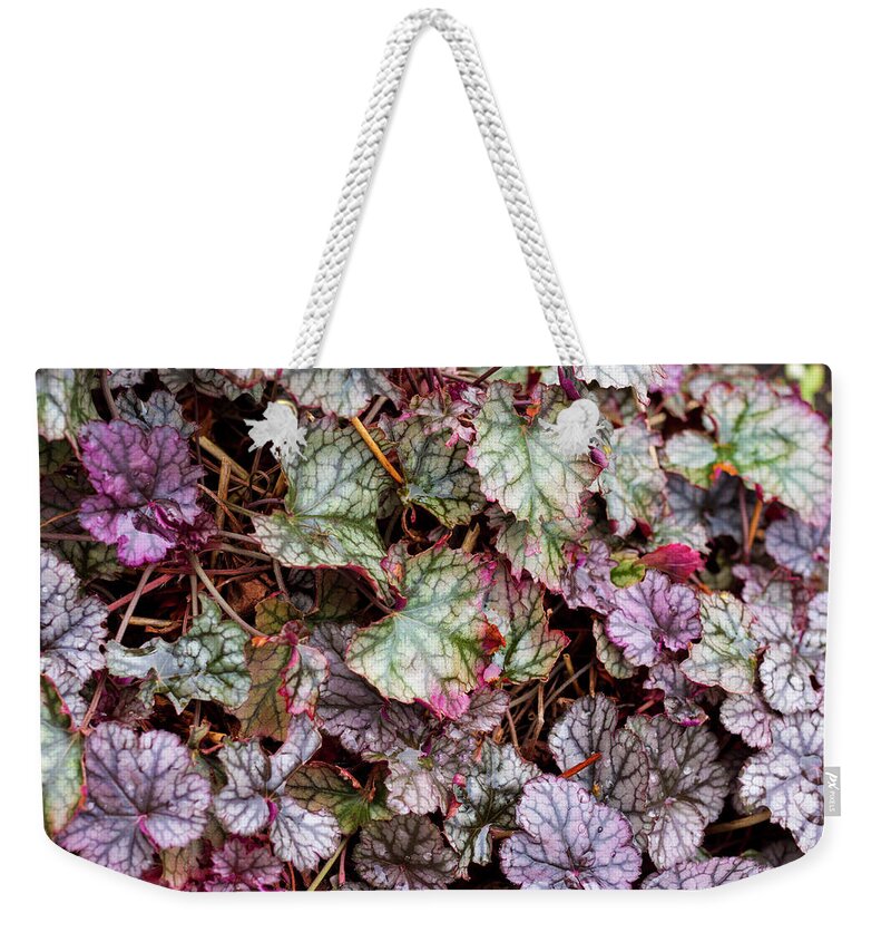 Leafy Weekender Tote Bag featuring the photograph Heuchera Leaves by Tanya C Smith