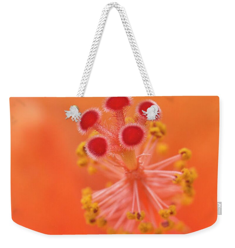 Hibiscus Beauty Weekender Tote Bag featuring the digital art Hibiscus beauty 222 by Kevin Chippindall
