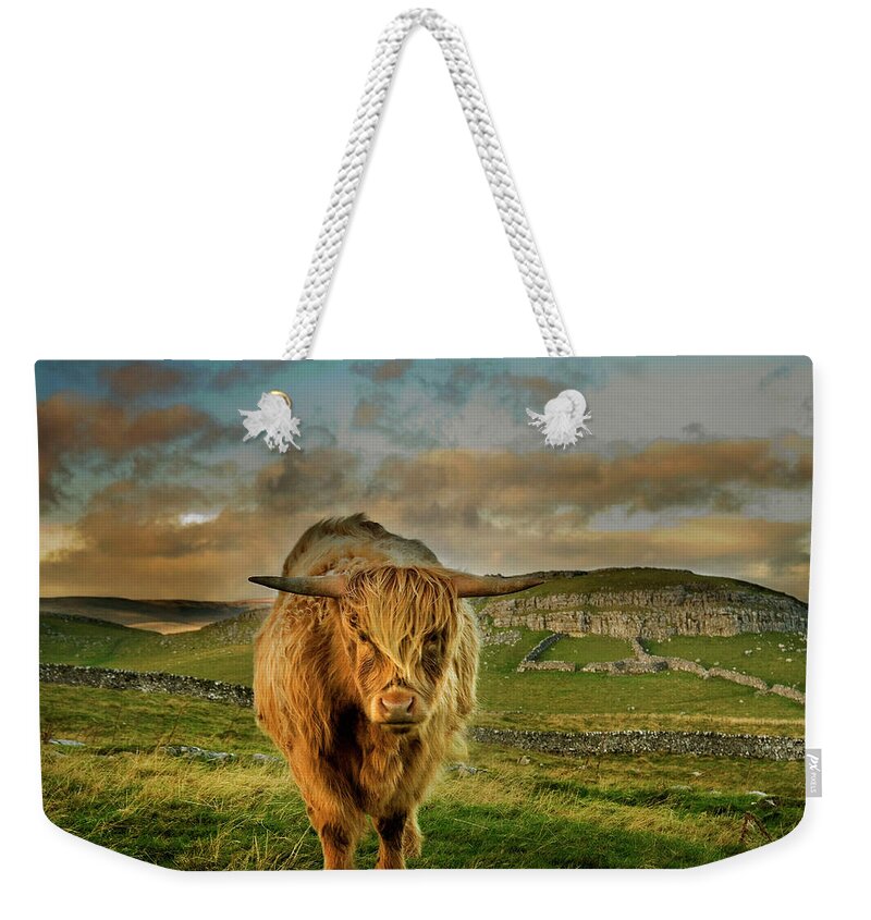 Animal Themes Weekender Tote Bag featuring the photograph Highland Cow by Michael Honor