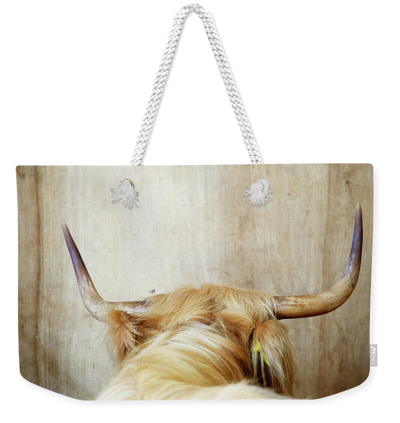 Horned Weekender Tote Bag featuring the photograph Highland Cow, Rear View by Liz Whitaker