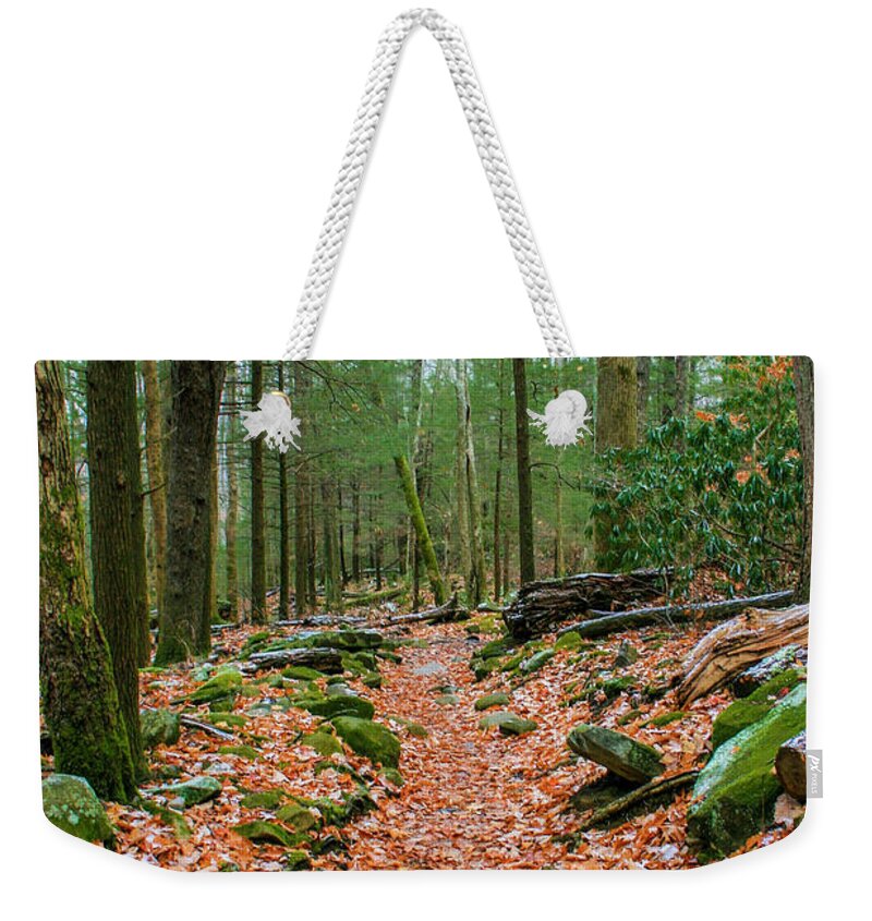 Photo For Sale Weekender Tote Bag featuring the photograph Hiking Trail in Autumn by Robert Wilder Jr