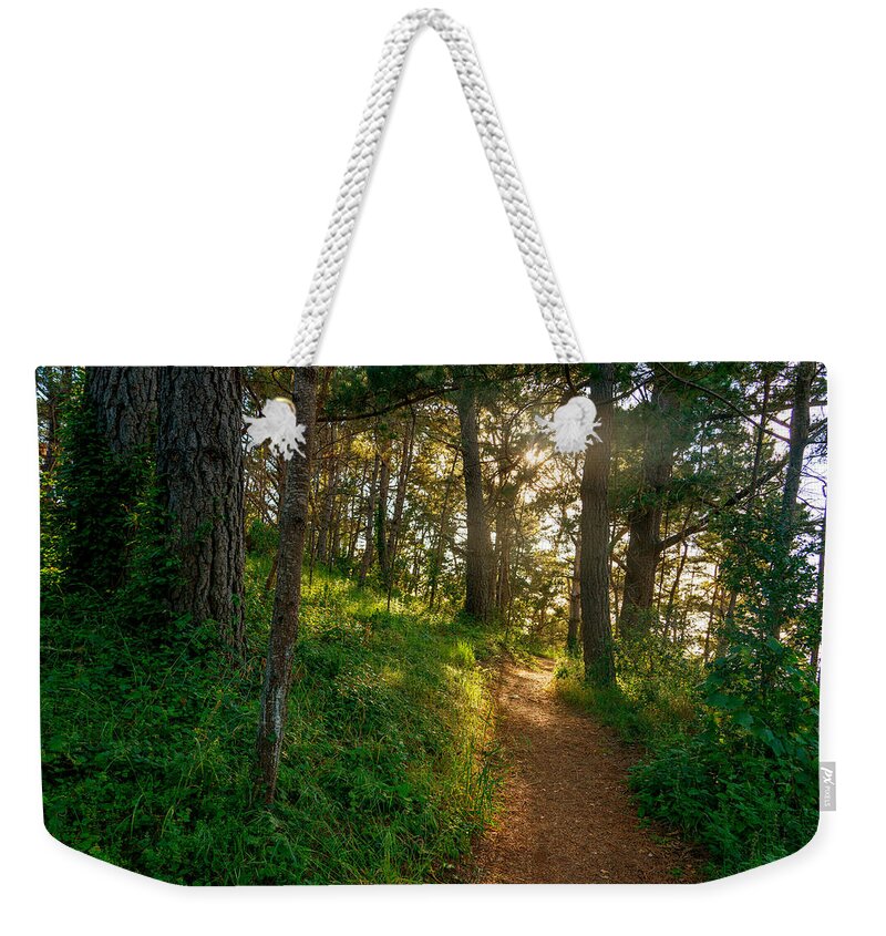 Hillside Path Weekender Tote Bag featuring the photograph Hillside Path by Derek Dean