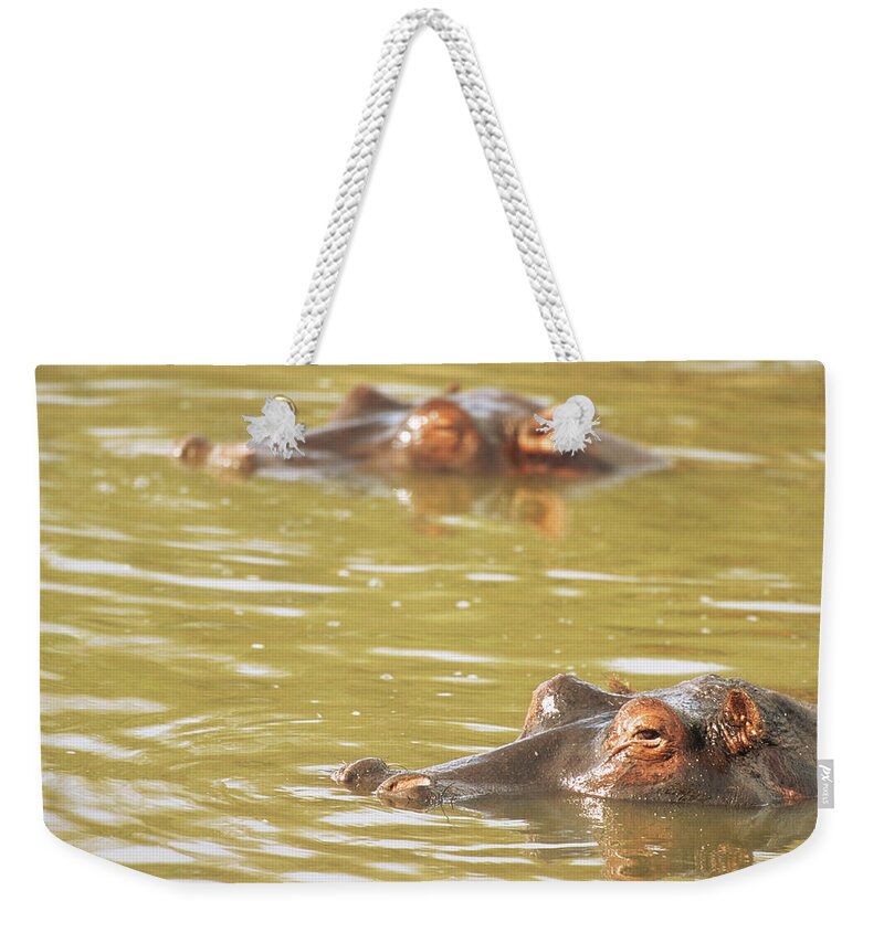Kenya Weekender Tote Bag featuring the photograph Hippos Bathing by James Warwick