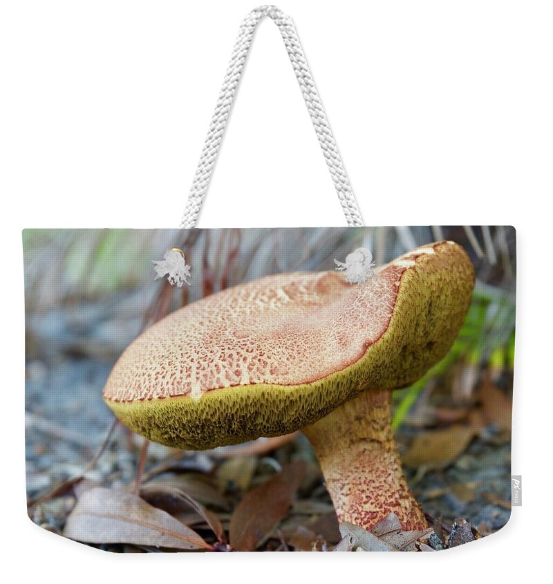 Mushroom Weekender Tote Bag featuring the photograph Hog mushroom by AnnaJo Vahle