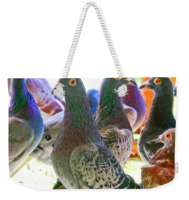 Pigeon Weekender Tote Bag featuring the photograph Homing Pigeon Group Electric by Don Northup
