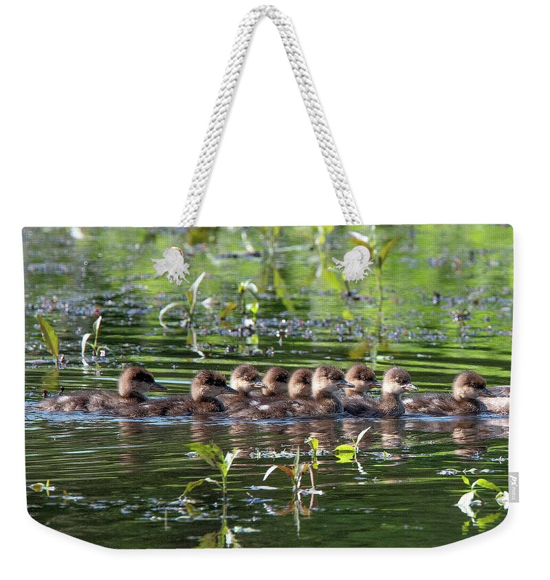Nature Weekender Tote Bag featuring the photograph Hooded Merganser Ducklings DWF0203 by Gerry Gantt