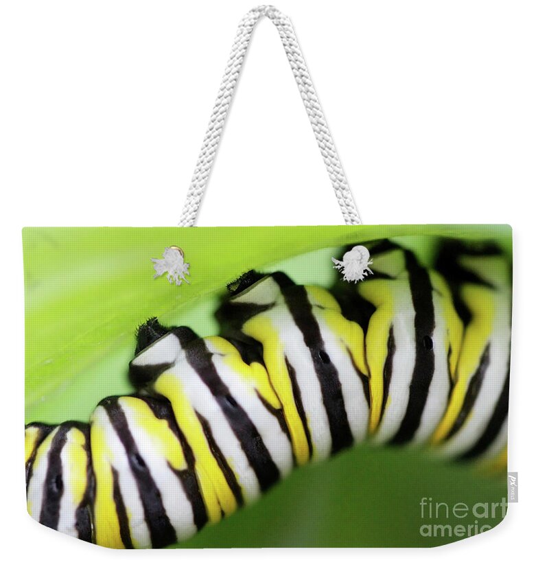 Monarch Caterpillar Weekender Tote Bag featuring the photograph Hope by Karen Adams
