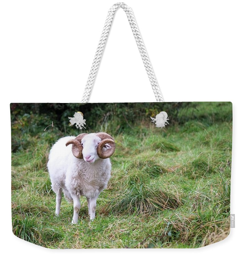 Horned Weekender Tote Bag featuring the photograph Horned Ram by Peter Chadwick Lrps