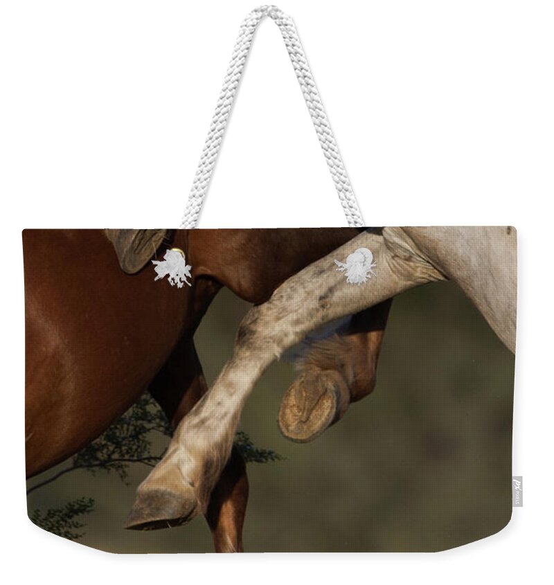 Action Weekender Tote Bag featuring the photograph Horse Ballet by Shannon Hastings