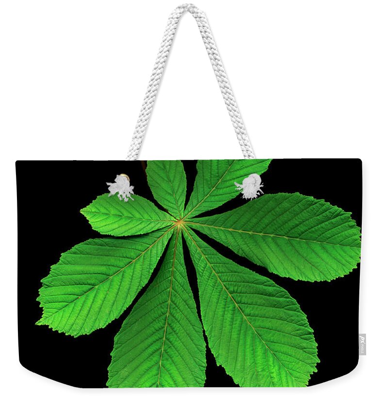 Black Background Weekender Tote Bag featuring the photograph Horse Chestnut Leaf Against Black by Mike Hill