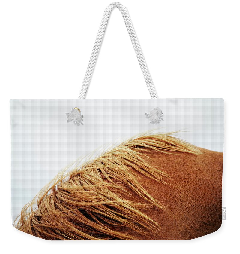 Animal Themes Weekender Tote Bag featuring the photograph Horse, Close-up by Markus Renner