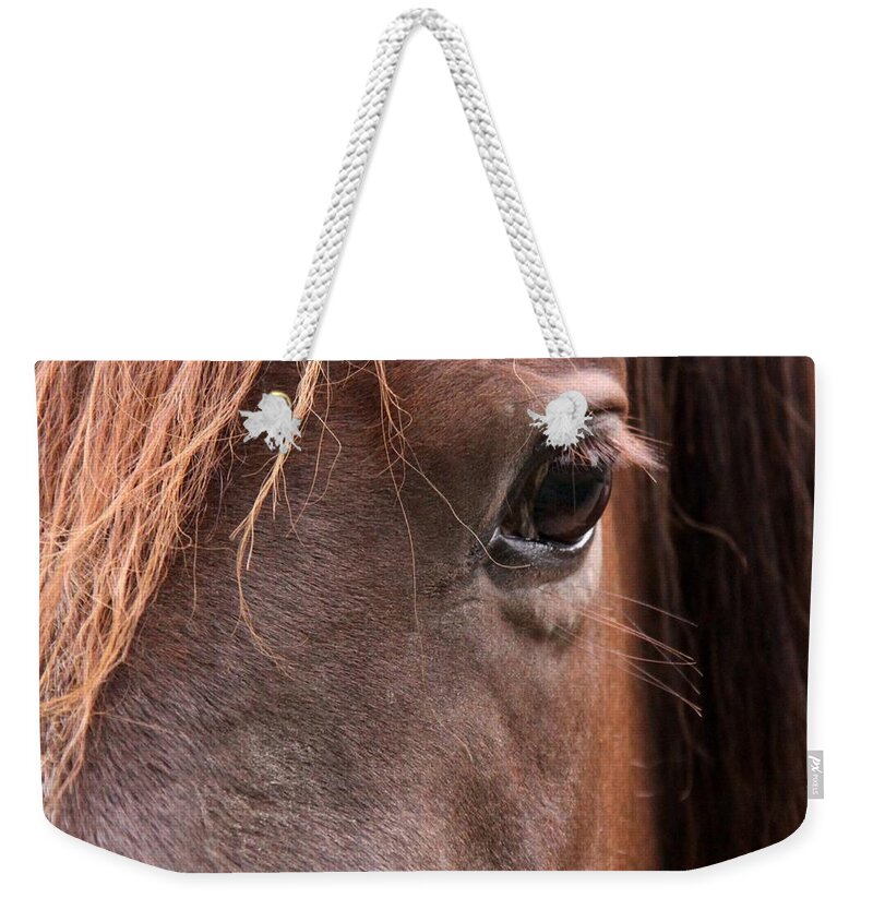 Horse Weekender Tote Bag featuring the photograph Horse Eye by Aires Photography