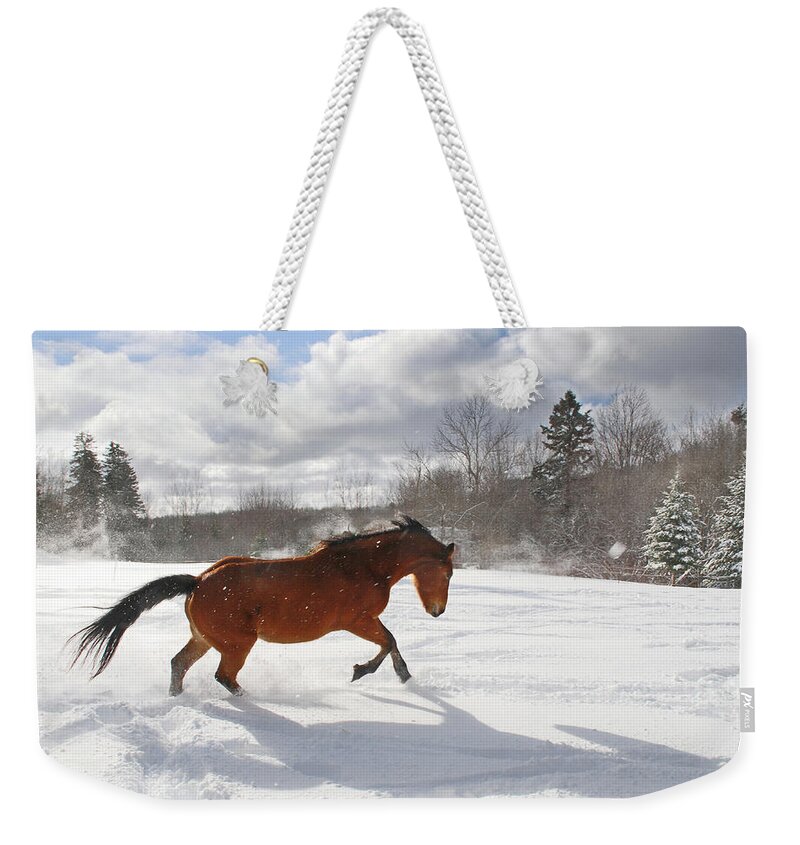 Horse Weekender Tote Bag featuring the photograph Horse Galloping In Deep Snow With Sun by Anne Louise Macdonald Of Hug A Horse Farm