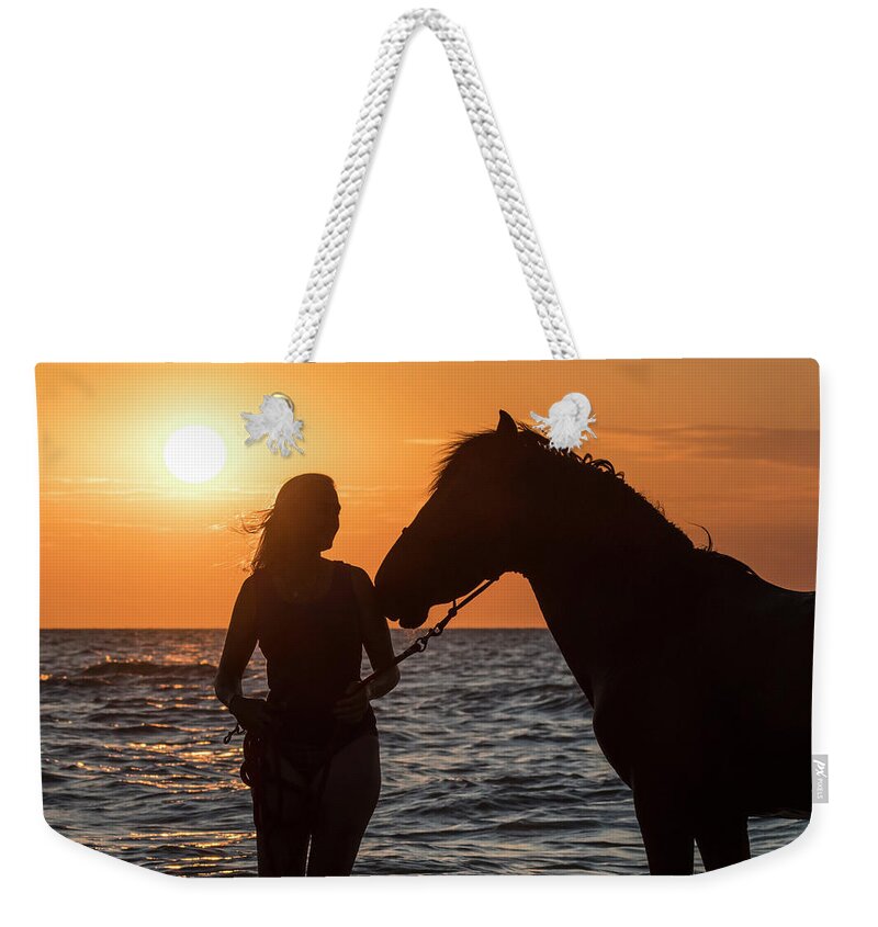 Female Weekender Tote Bag featuring the photograph Horse on the Beach by Arterra Picture Library
