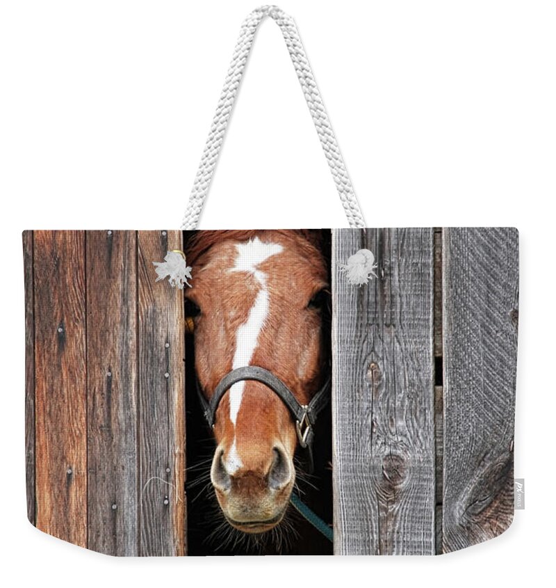 Horse Weekender Tote Bag featuring the photograph Horse Peeking Out Of The Barn Door by 2ndlookgraphics