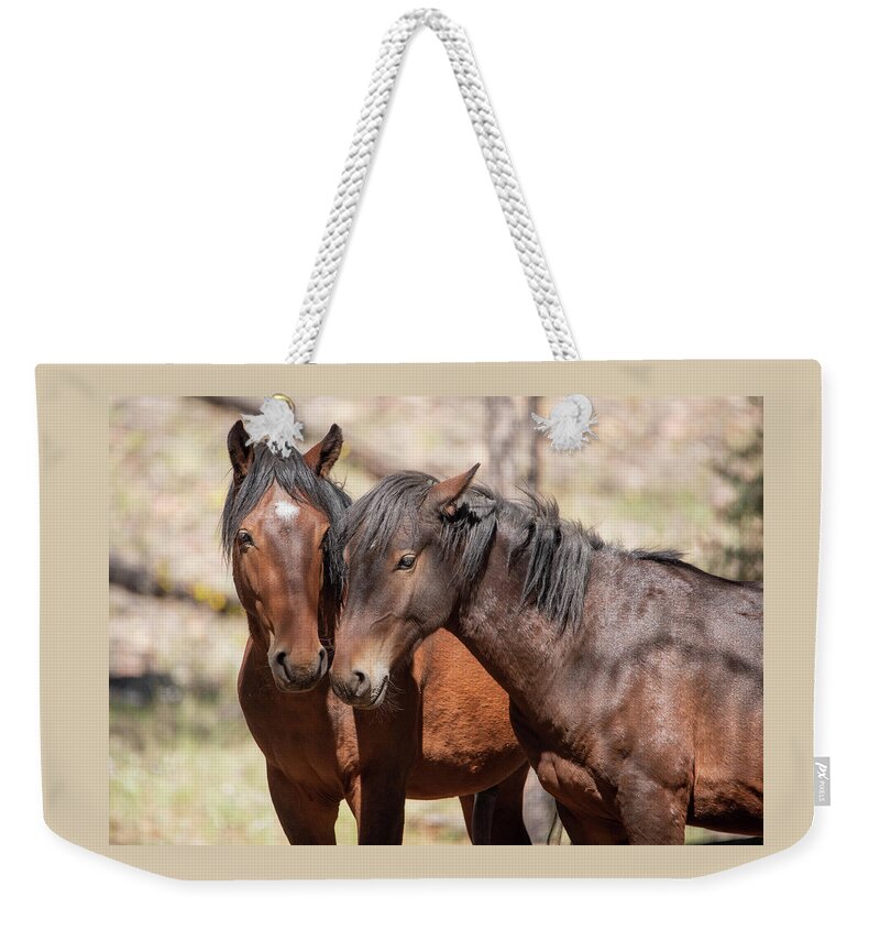 Wild Horses Weekender Tote Bag featuring the photograph Horse Snuggle by Nicole Zenhausern