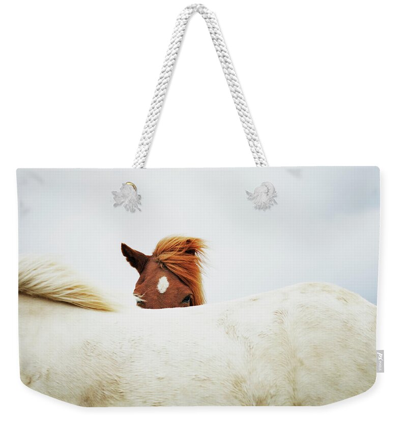 Animal Themes Weekender Tote Bag featuring the photograph Horses by Markus Renner