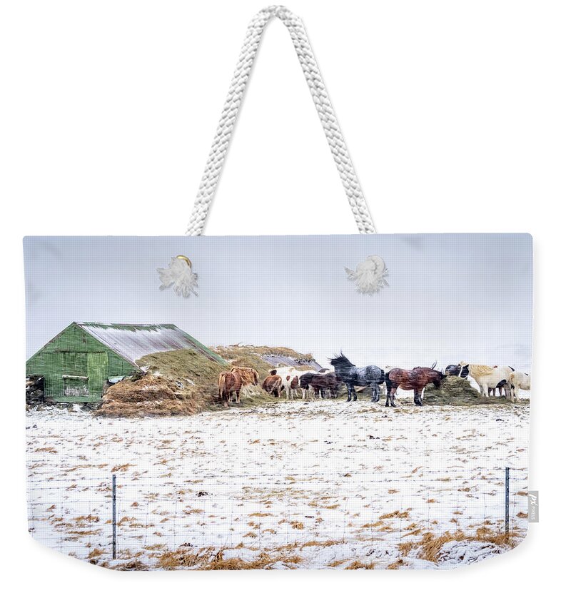 Iceland Weekender Tote Bag featuring the photograph Horses Sheltering by Framing Places