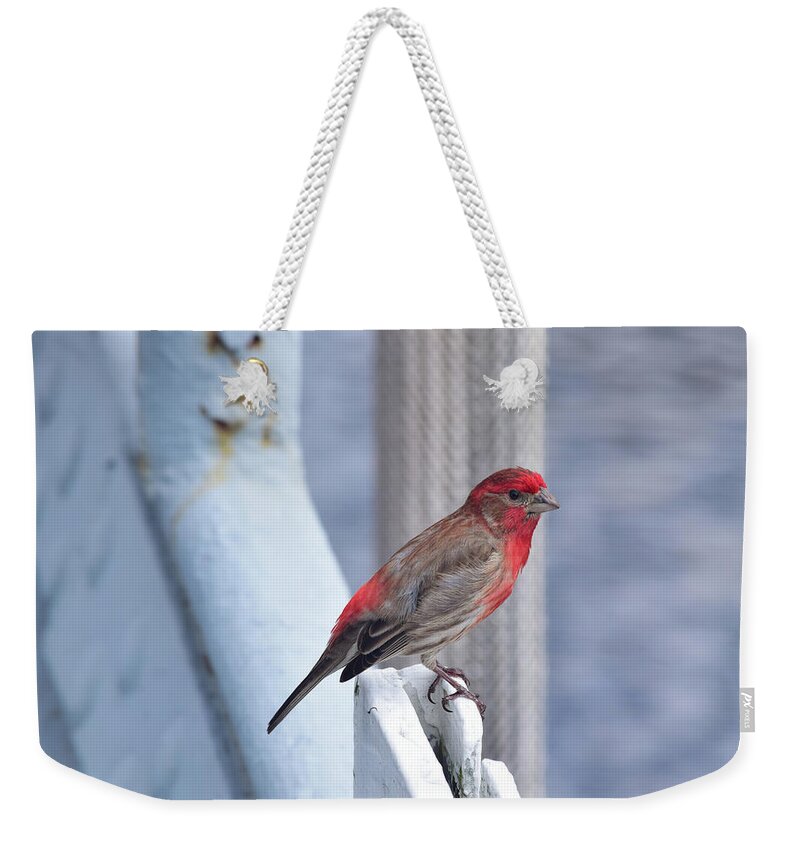 Finch Weekender Tote Bag featuring the photograph House Finch on the U.S.S. Wisconsin by Nicole Lloyd
