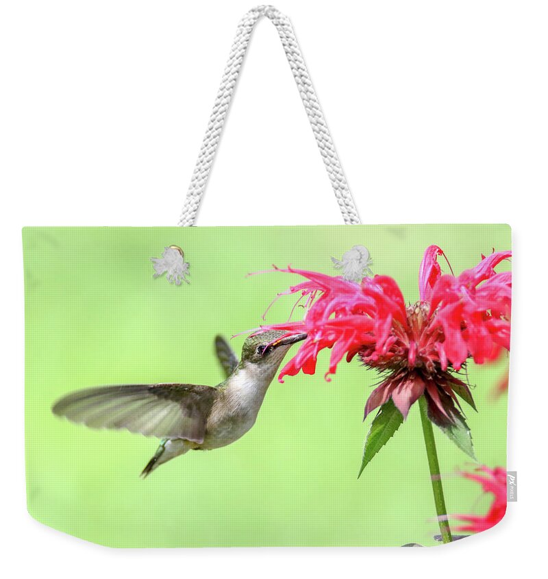 Hummingbird Weekender Tote Bag featuring the photograph Hummingbird And Bee Balm 1 by Brook Burling