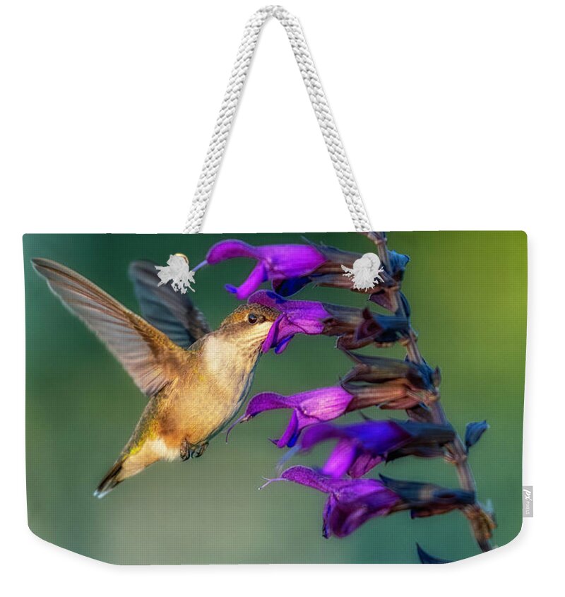 Hummingbird Weekender Tote Bag featuring the photograph Hummingbird by Bill Frische