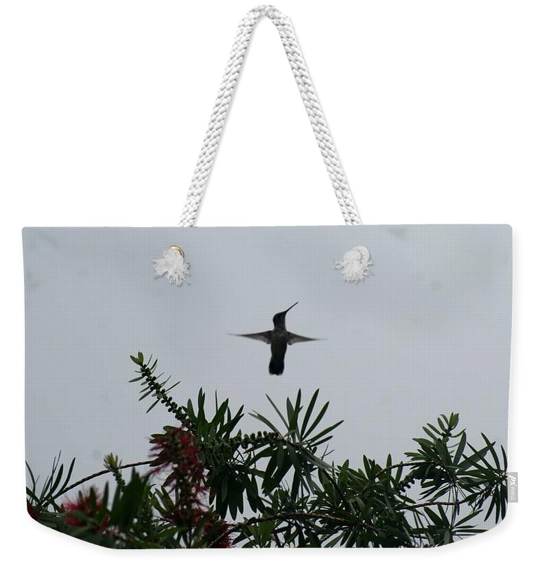 Florida Weekender Tote Bag featuring the photograph Hummingbird Blessing by Lindsey Floyd