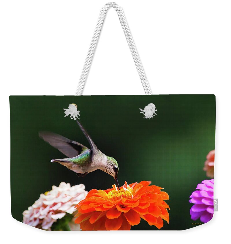 Hummingbird Weekender Tote Bag featuring the photograph Hummingbird in Flight with Orange Zinnia Flower by Christina Rollo