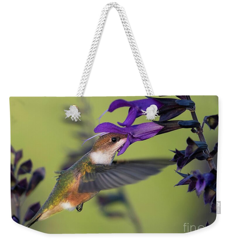 Hummingbird Weekender Tote Bag featuring the photograph Hummingbird with Purple by Bill Frische