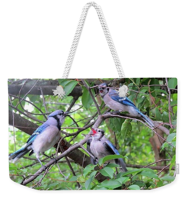 Blue Jays Weekender Tote Bag featuring the photograph I Fed Him Last Time by Linda Stern