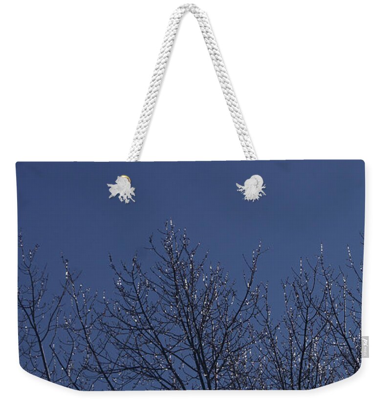 Nature Weekender Tote Bag featuring the photograph Ice Tree by Robert E Alter Reflections of Infinity