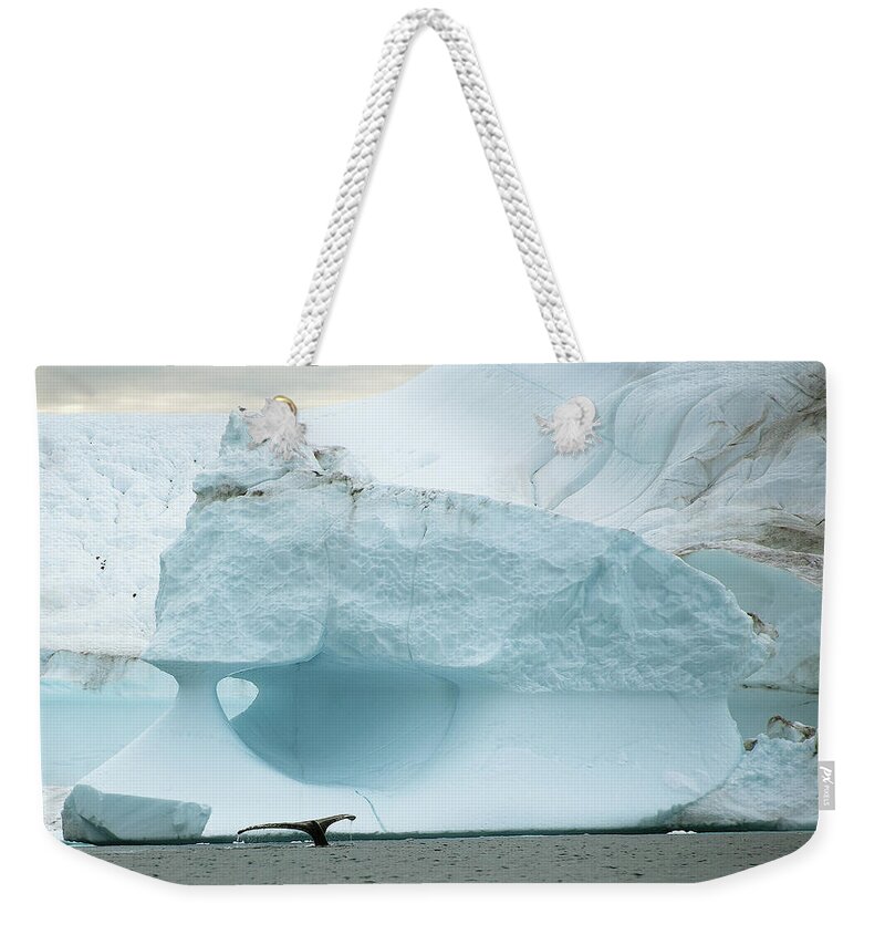 Arctic Weekender Tote Bag featuring the photograph Iceberg and Whale Tail by Minnie Gallman