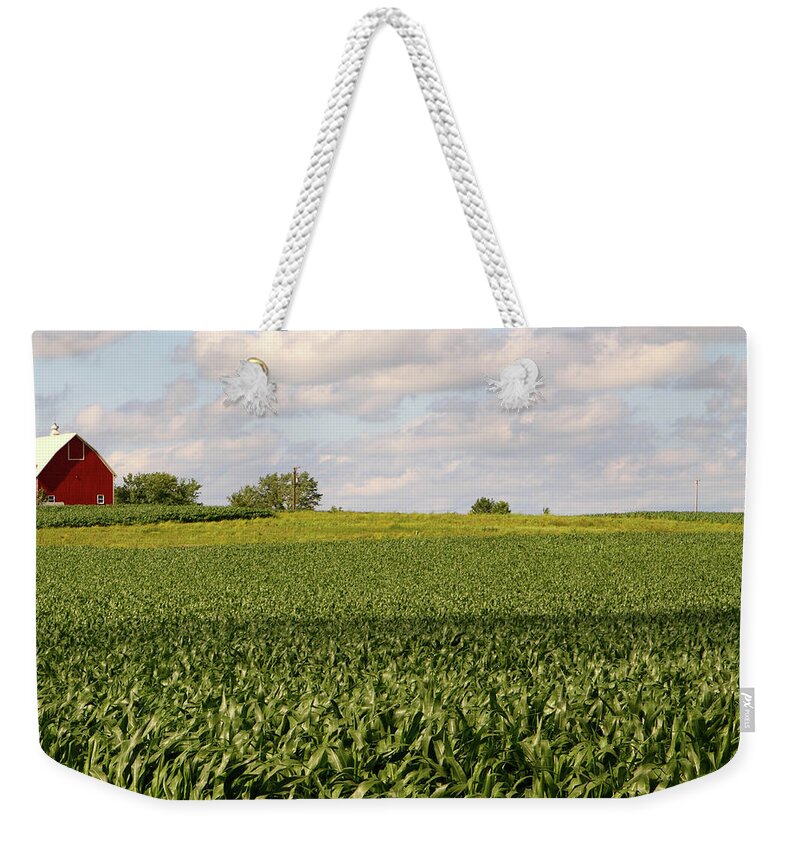 Scenics Weekender Tote Bag featuring the photograph Illinois Corn Field by Jenjen42
